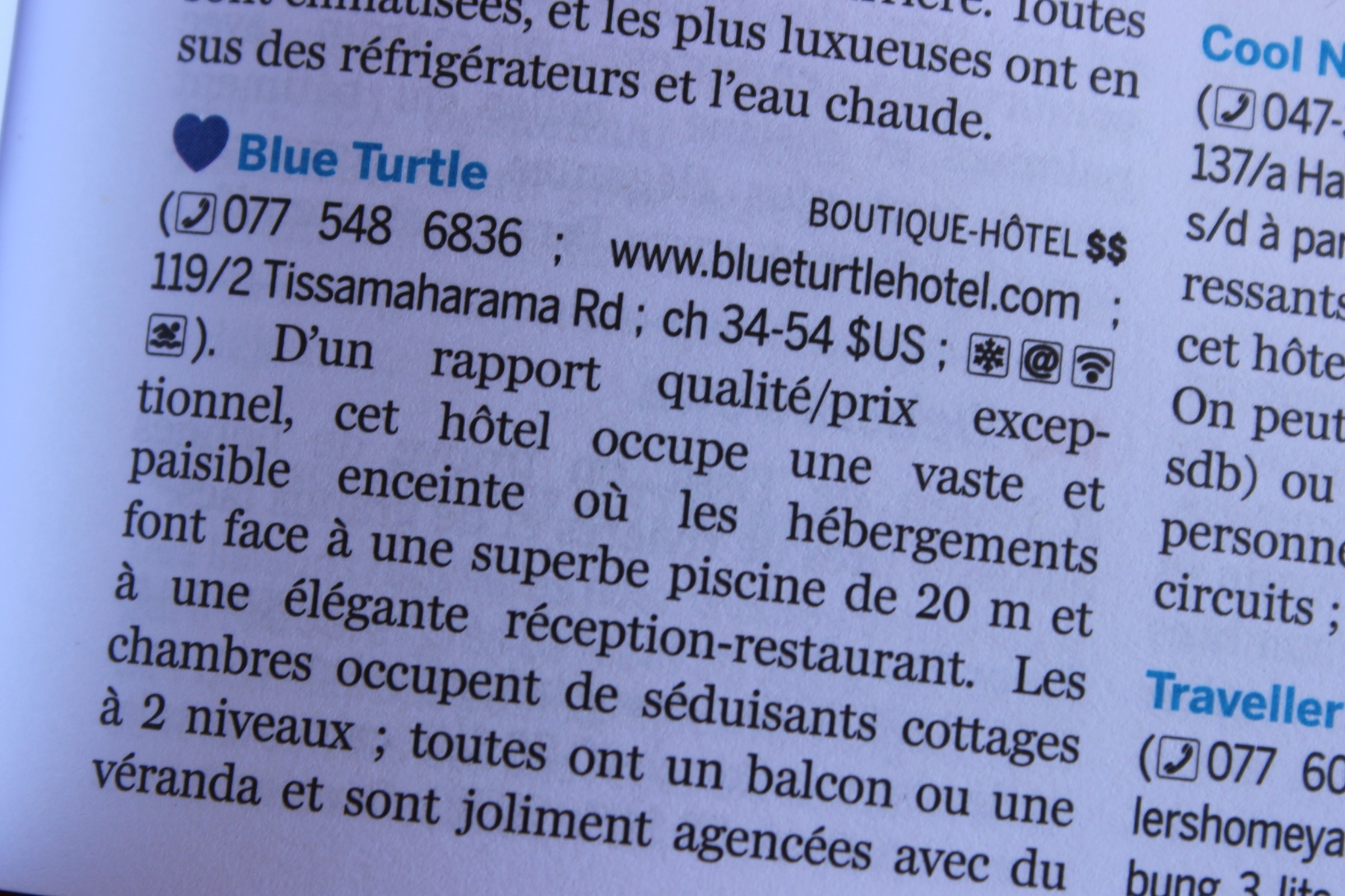 Blue Turtle Hotel Review